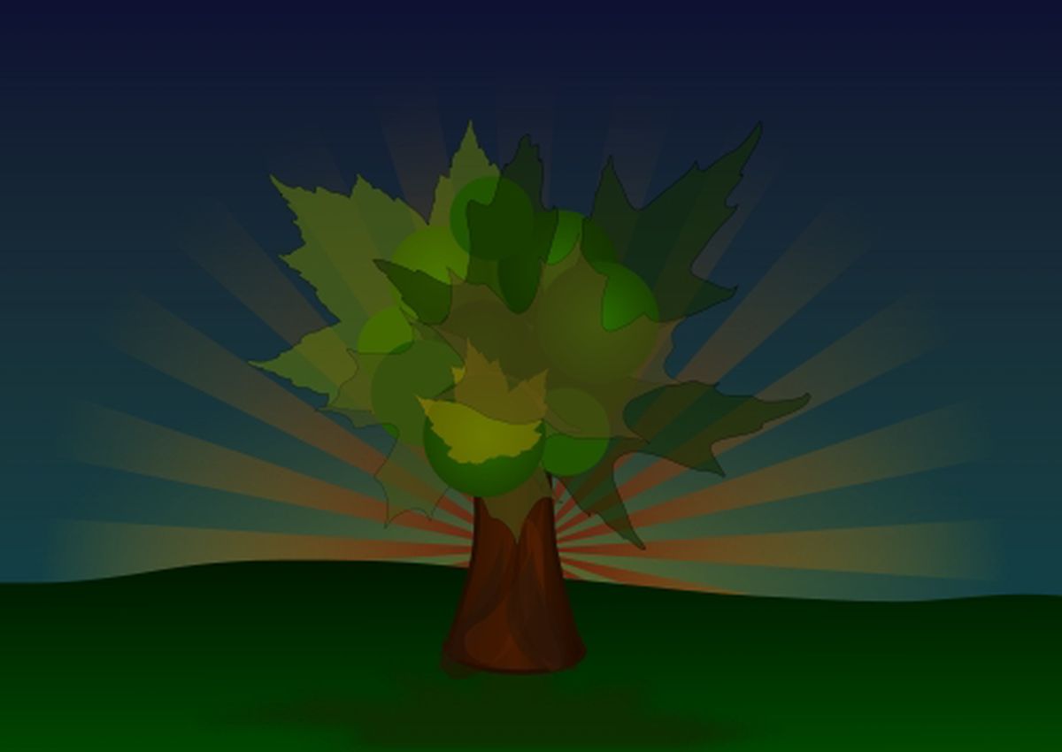 Another Tree