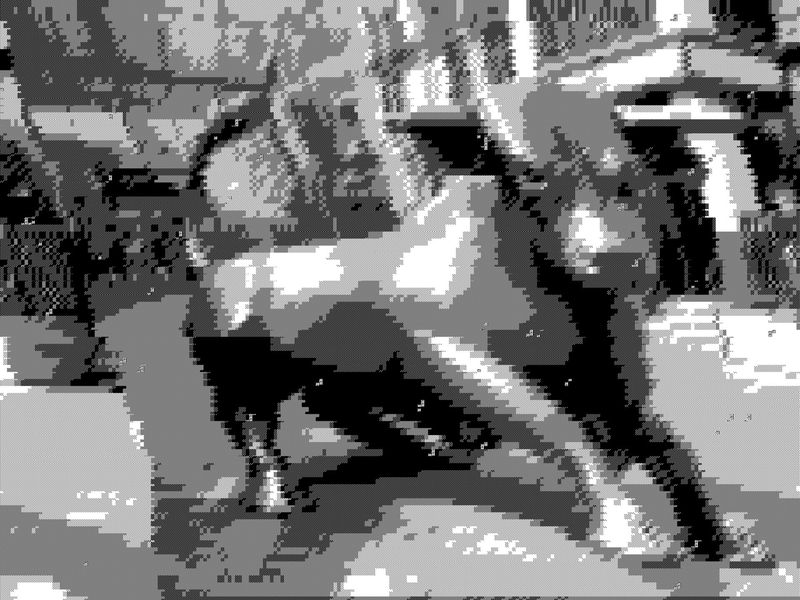 bascii glitched by sed