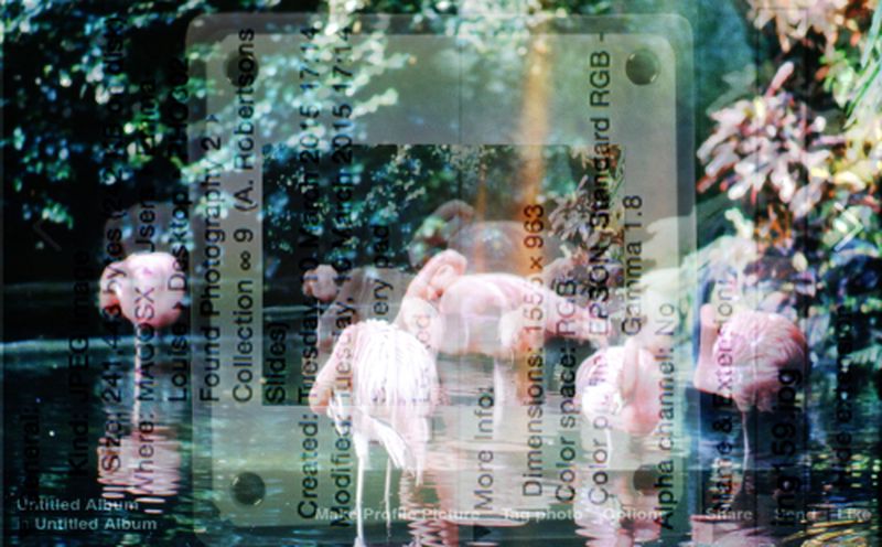 Matigital_Culture_Kodak_Colour_Slides