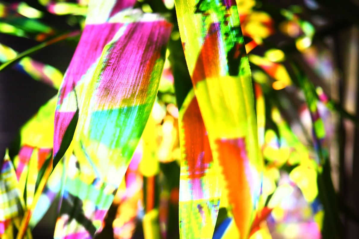 Plant Projections