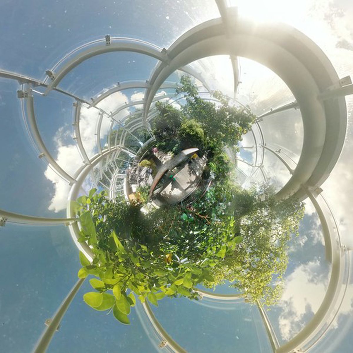 Post-Modern Plant Life: An [RHP] CDRs Artist Laboratory