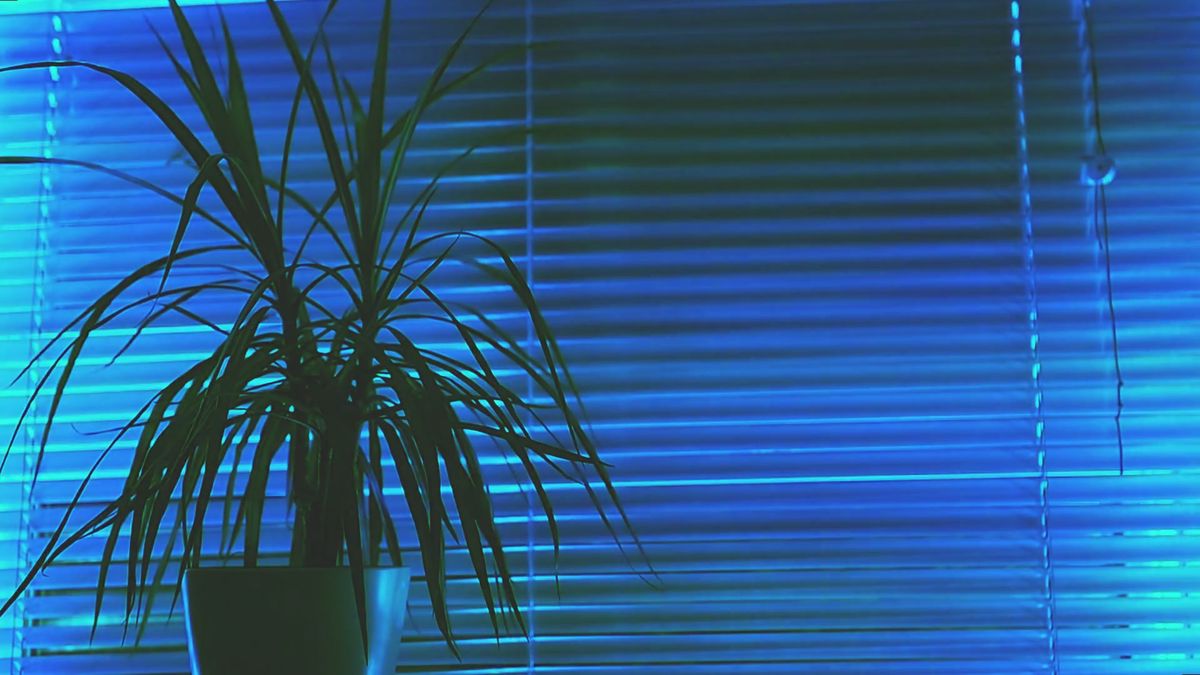 Windows Explorer