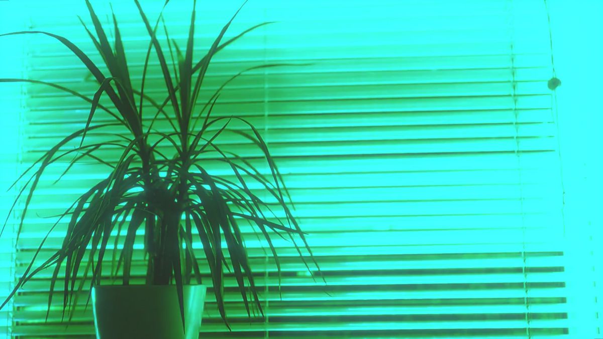 Windows Explorer